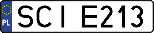 SCIE213