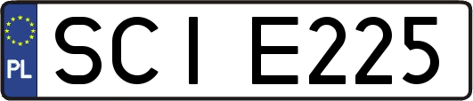 SCIE225