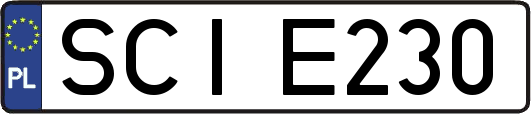 SCIE230