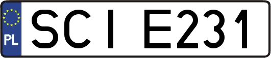SCIE231