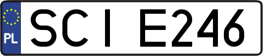 SCIE246