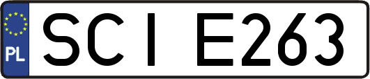 SCIE263
