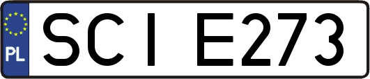 SCIE273