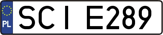 SCIE289