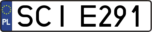 SCIE291