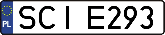 SCIE293