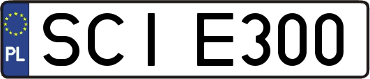 SCIE300