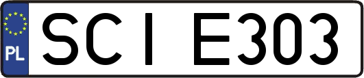 SCIE303