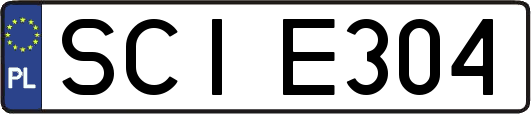 SCIE304