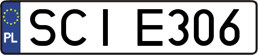 SCIE306