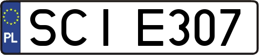 SCIE307