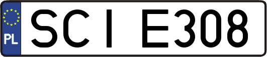 SCIE308
