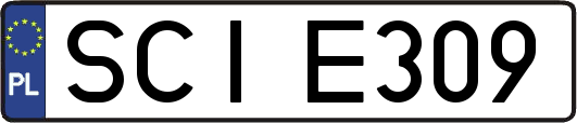 SCIE309