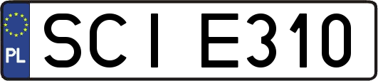 SCIE310