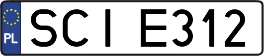 SCIE312