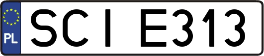 SCIE313