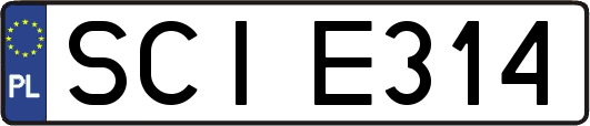 SCIE314