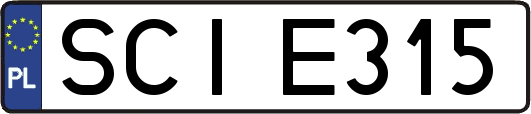 SCIE315