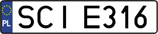 SCIE316