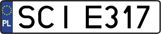 SCIE317