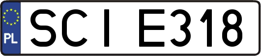 SCIE318