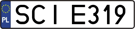 SCIE319