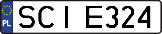 SCIE324