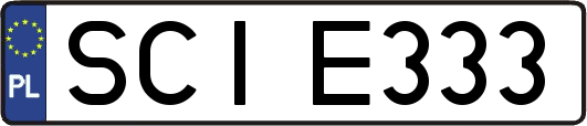 SCIE333
