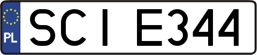 SCIE344