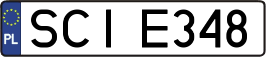 SCIE348