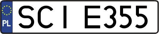 SCIE355