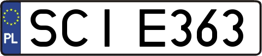 SCIE363