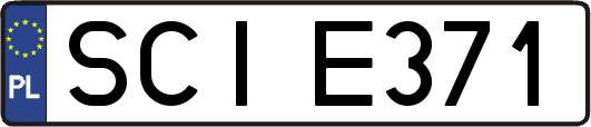 SCIE371