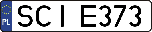 SCIE373