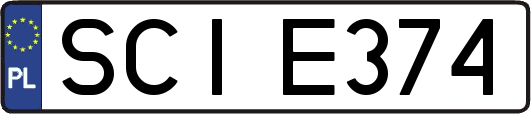 SCIE374