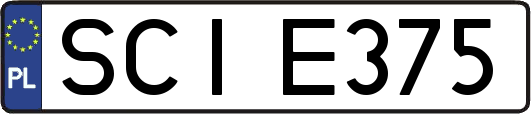 SCIE375