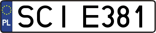 SCIE381