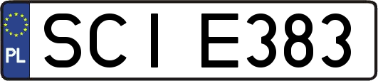 SCIE383