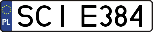 SCIE384