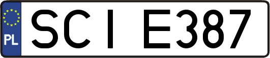 SCIE387