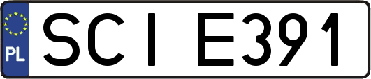SCIE391