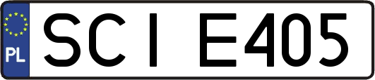 SCIE405
