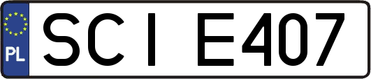 SCIE407