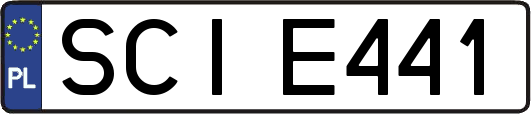 SCIE441