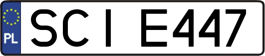 SCIE447