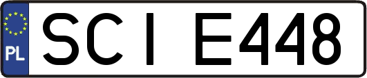 SCIE448