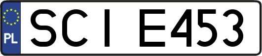 SCIE453