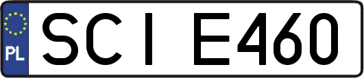 SCIE460