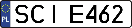 SCIE462