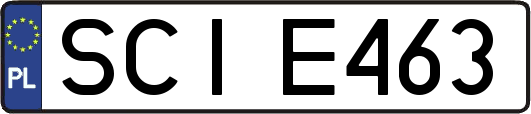 SCIE463